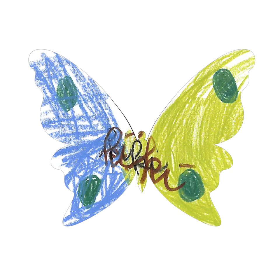 Original Butterfly Image