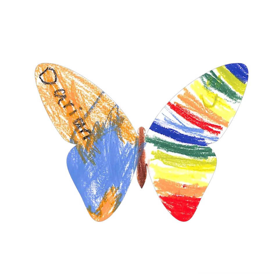 Original Butterfly Image