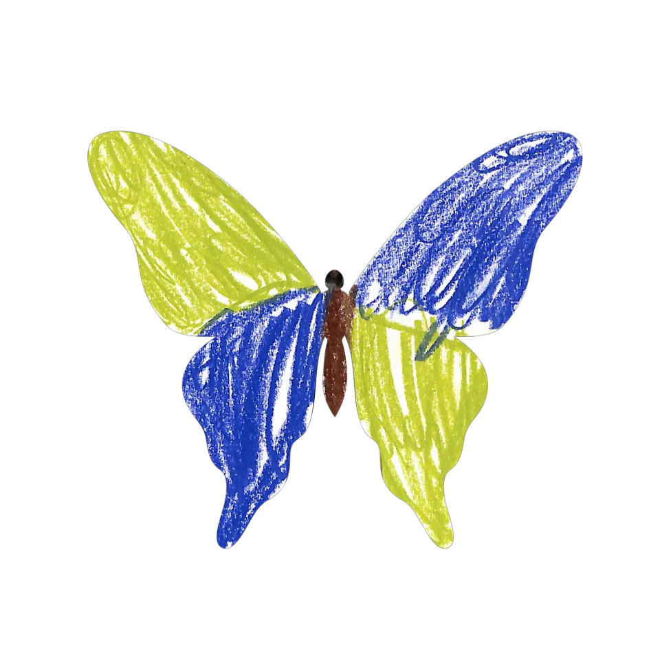 Original Butterfly Image