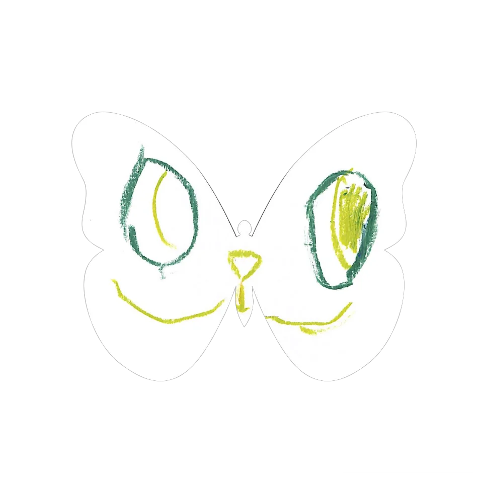 Original Butterfly Image