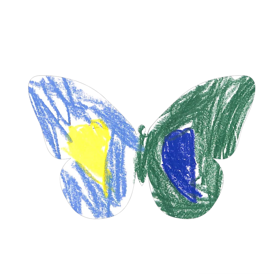 Original Butterfly Image