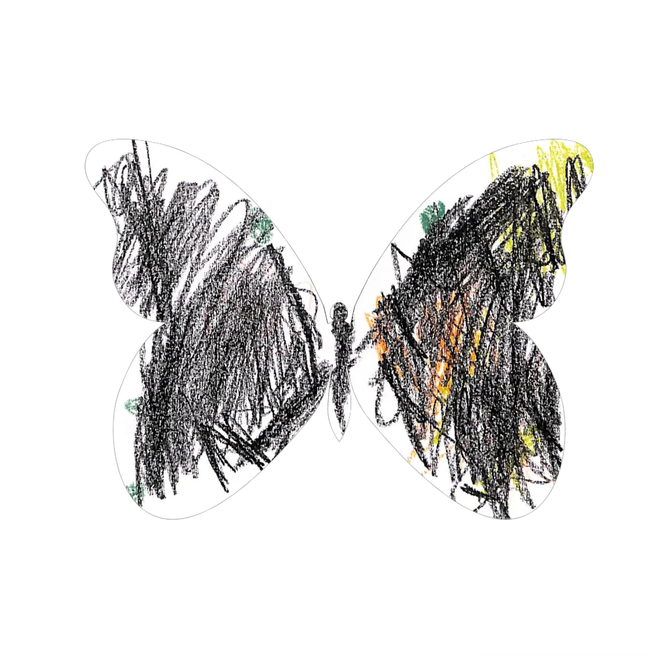 Original Butterfly Image
