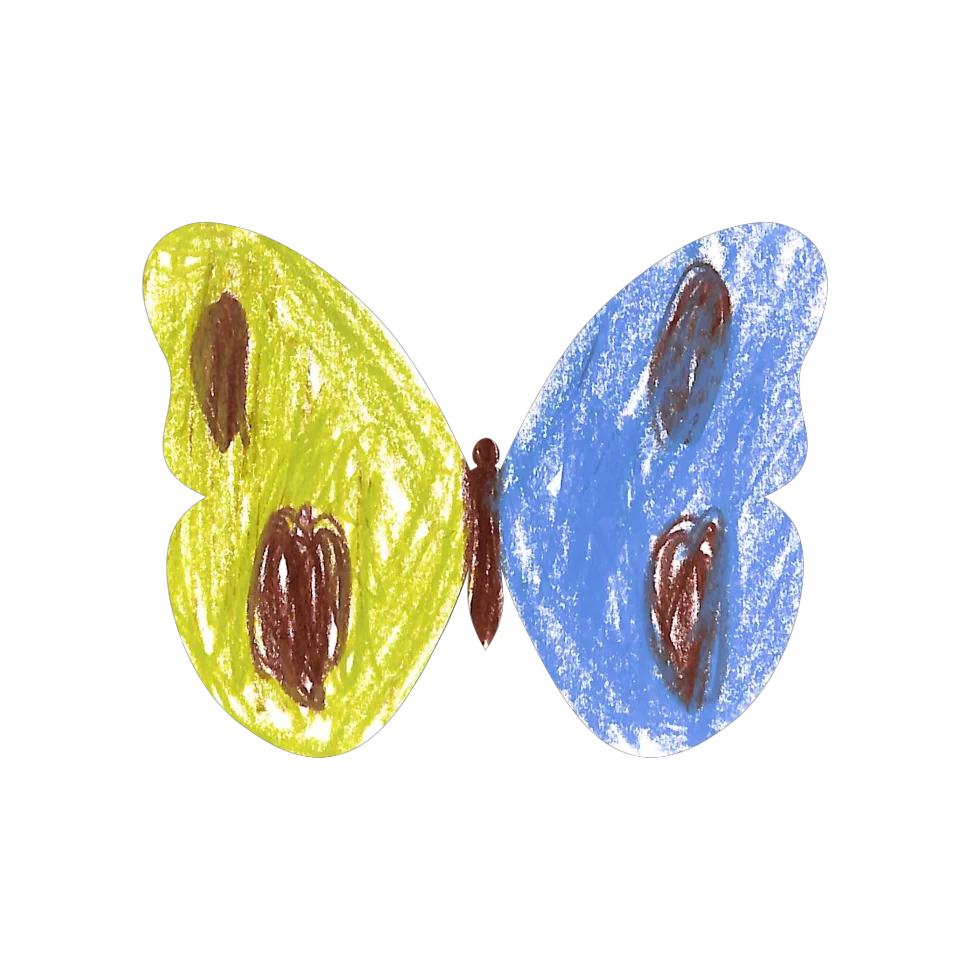 Original Butterfly Image