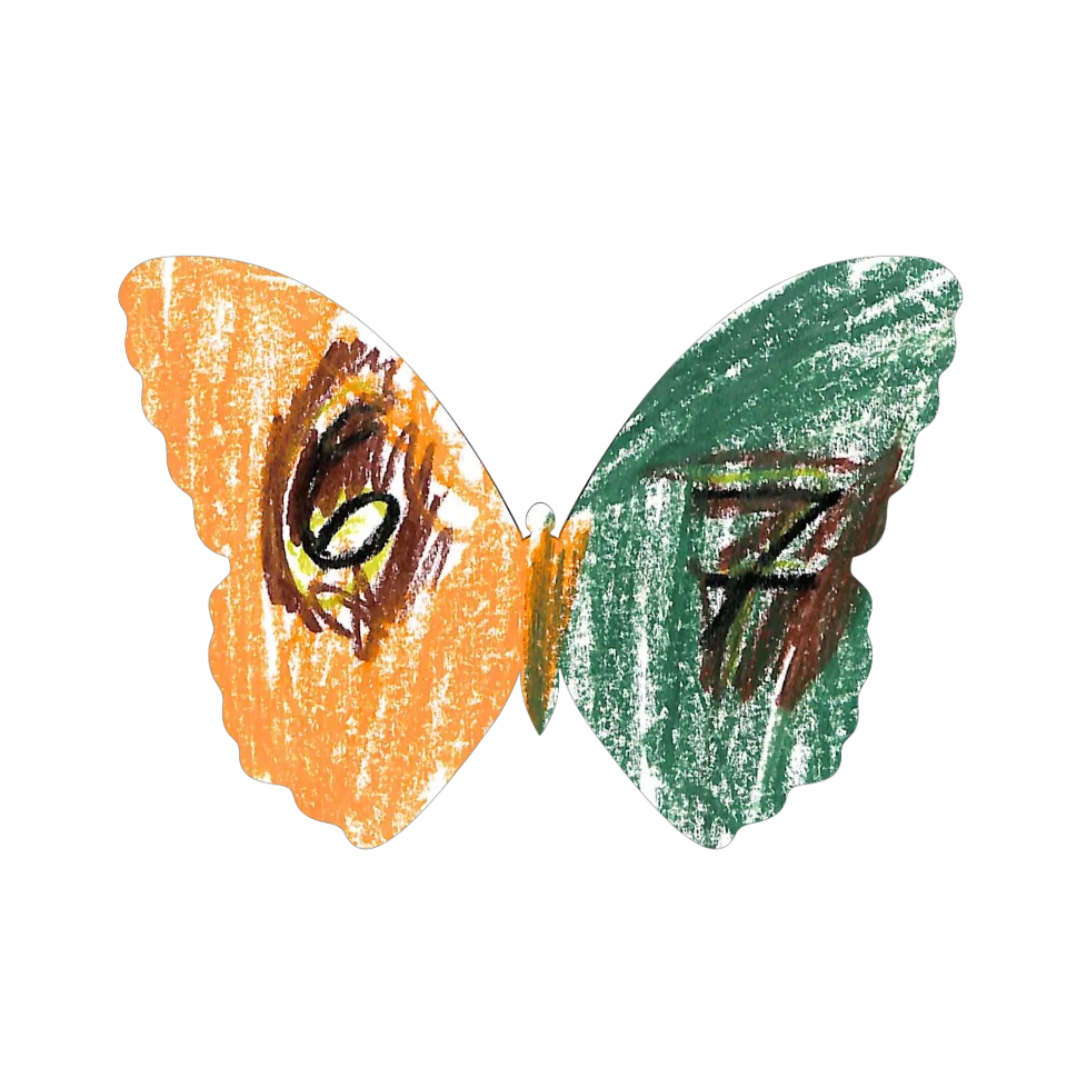 Original Butterfly Image