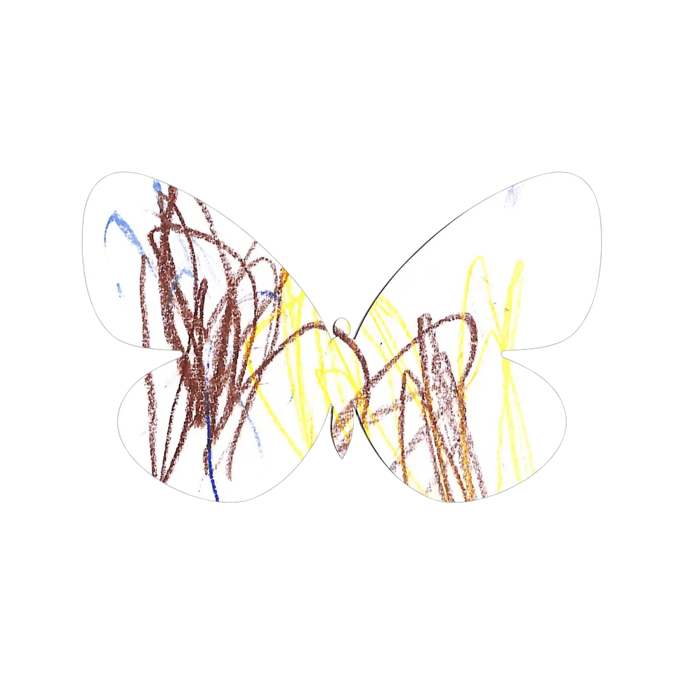 Original Butterfly Image