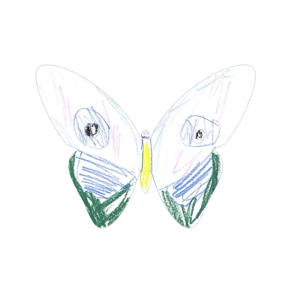 Original Butterfly Image