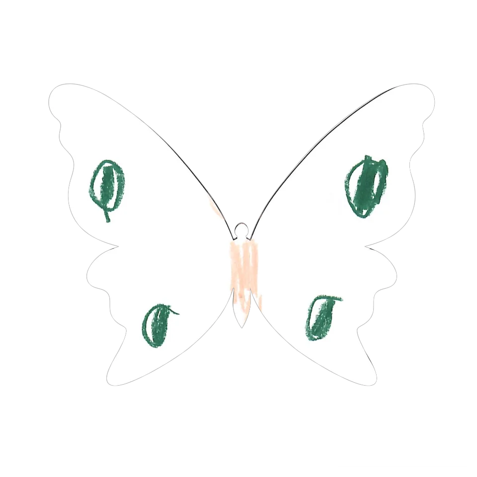 Original Butterfly Image