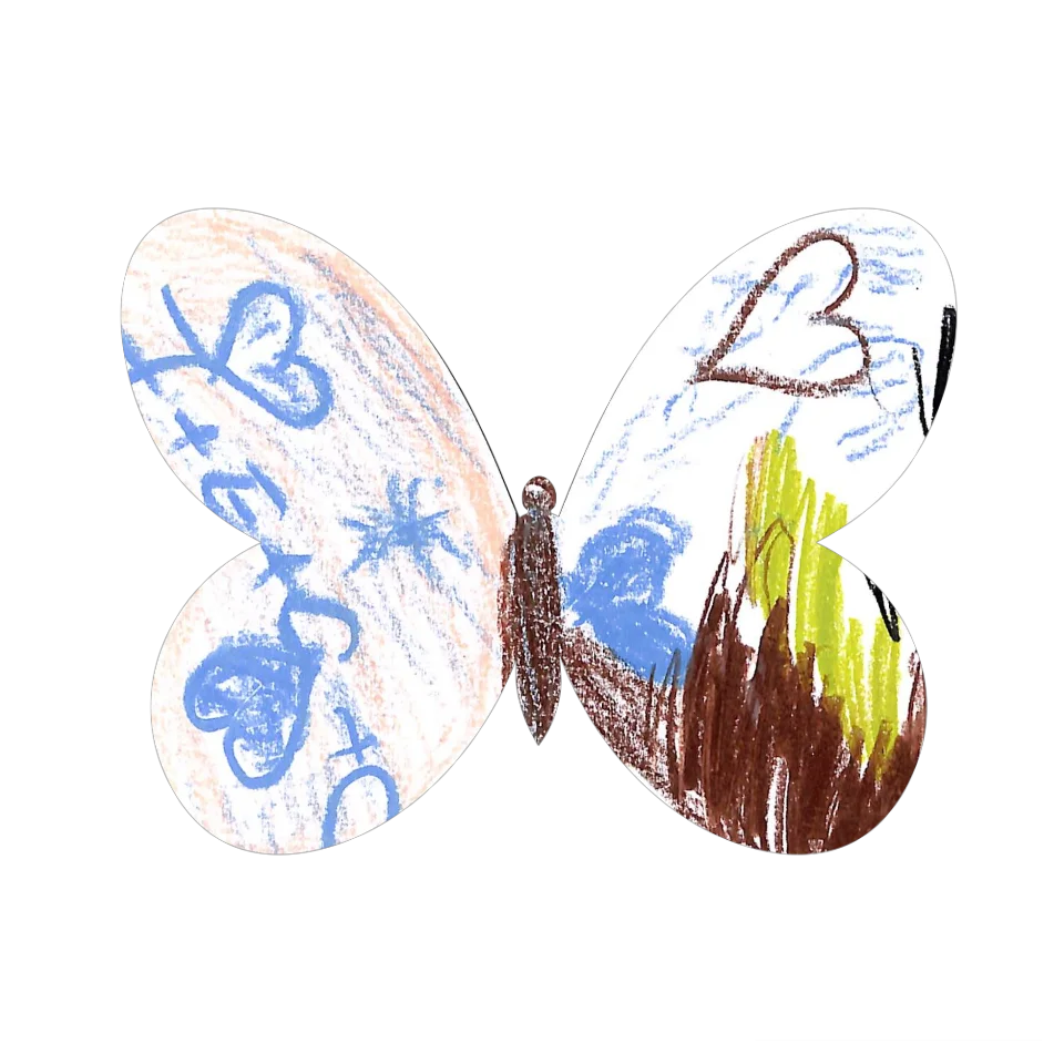 Original Butterfly Image