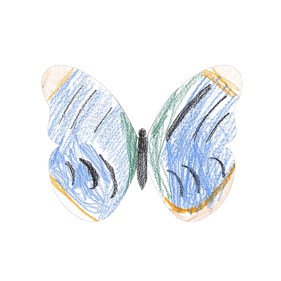 Original Butterfly Image