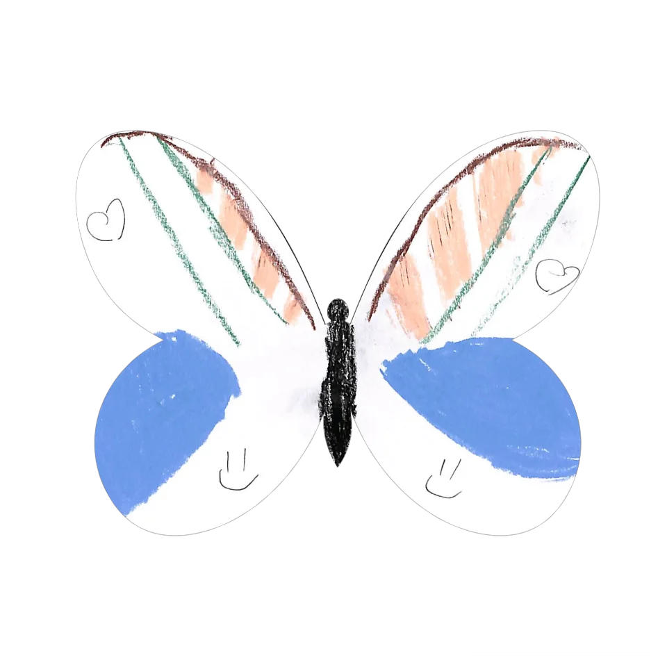 Original Butterfly Image
