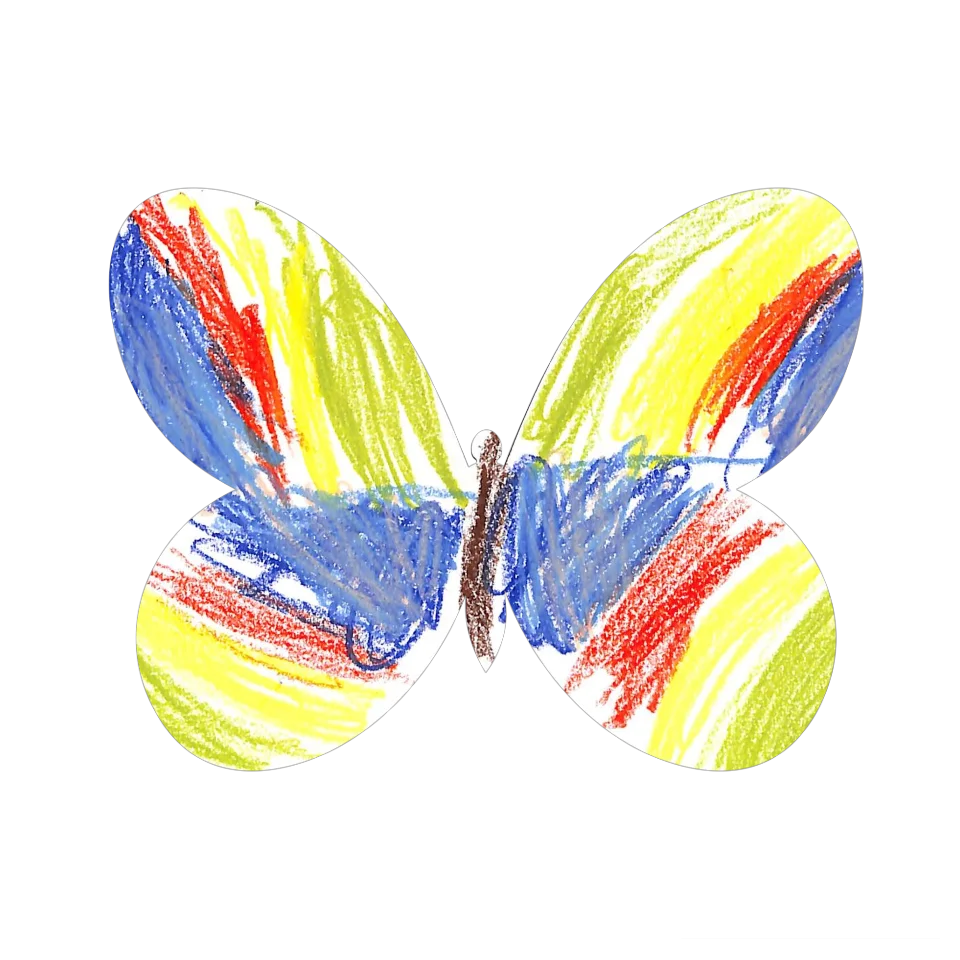 Original Butterfly Image