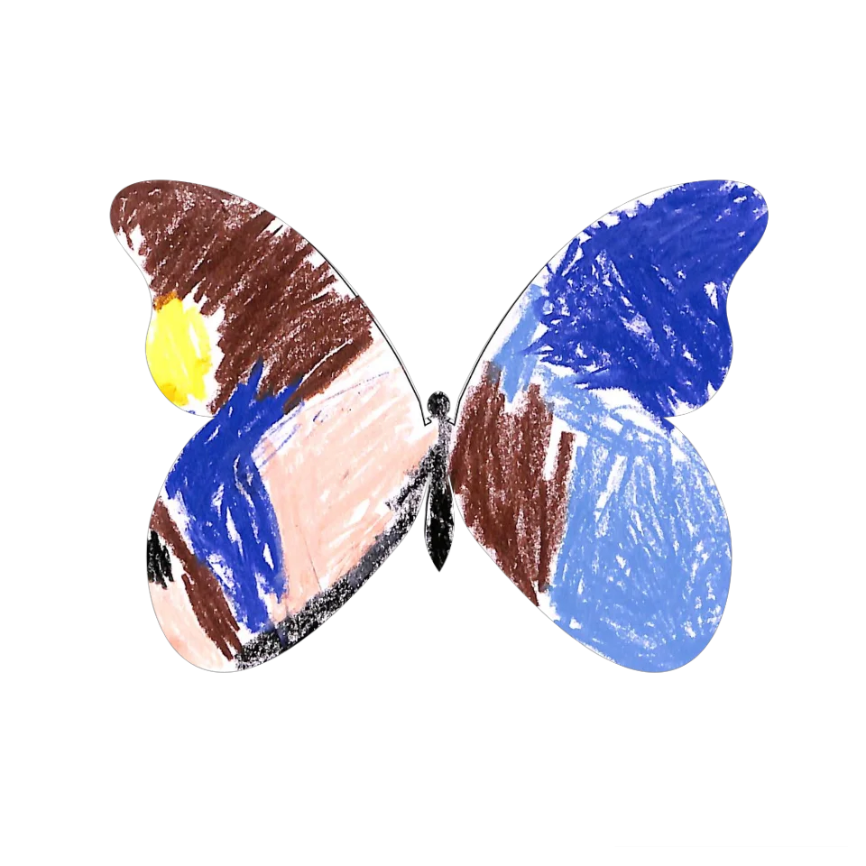 Original Butterfly Image
