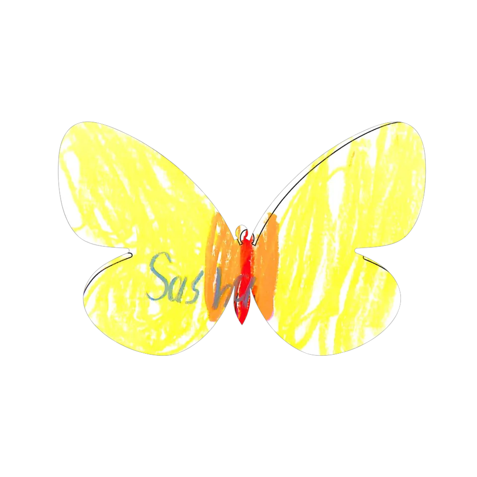 Original Butterfly Image