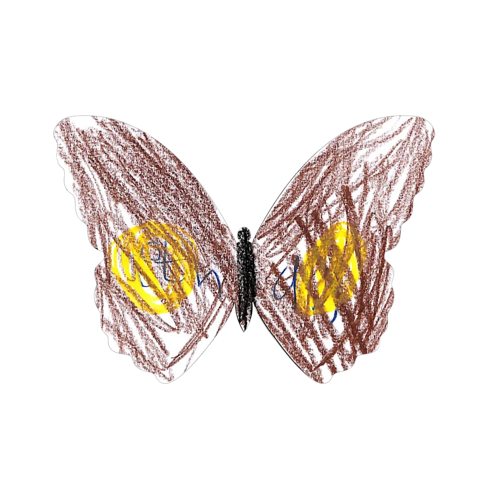 Original Butterfly Image
