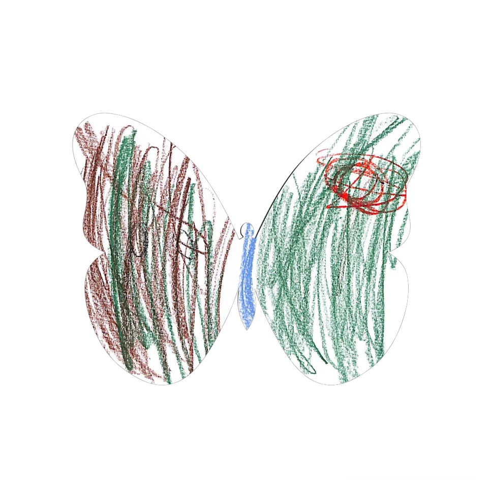 Original Butterfly Image