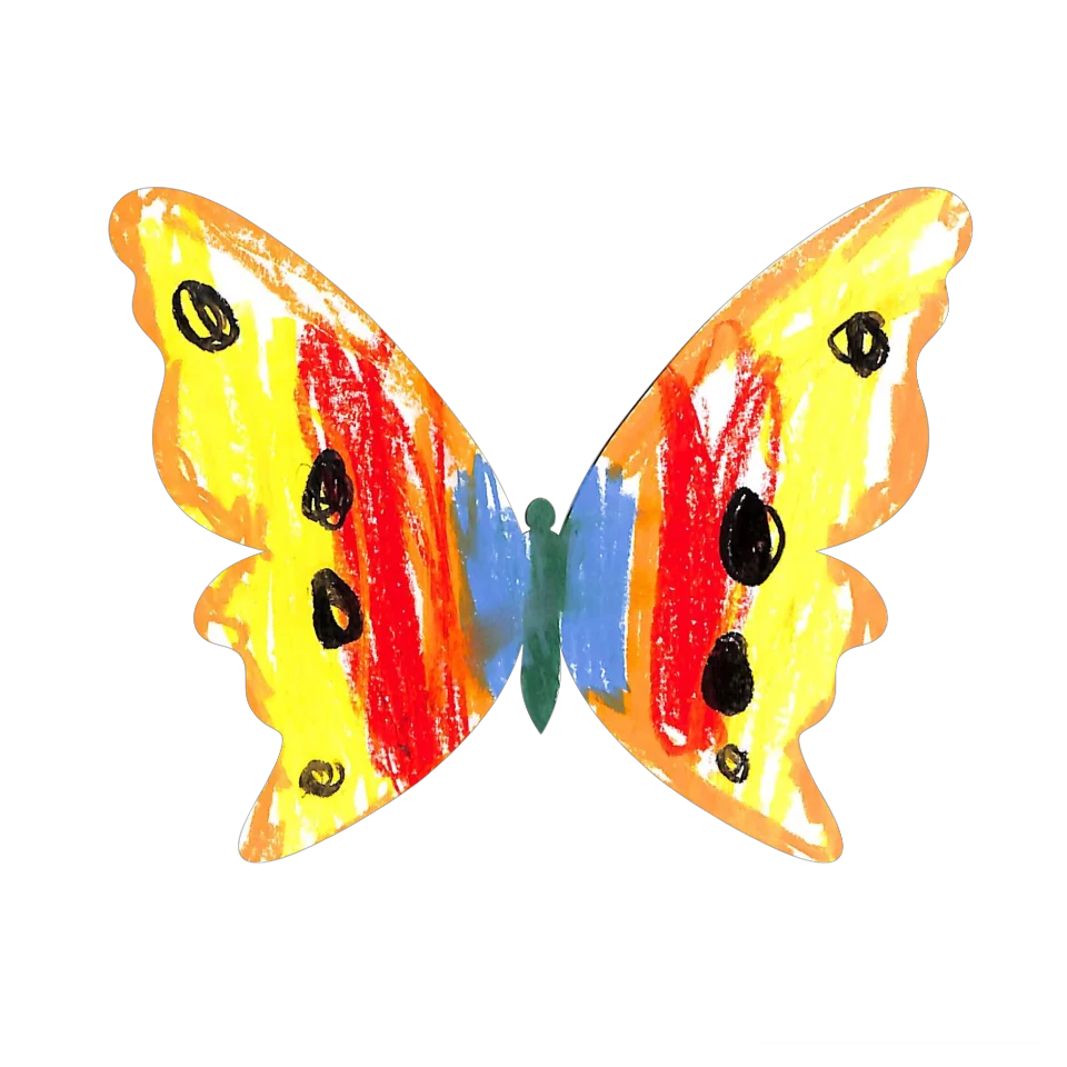 Original Butterfly Image