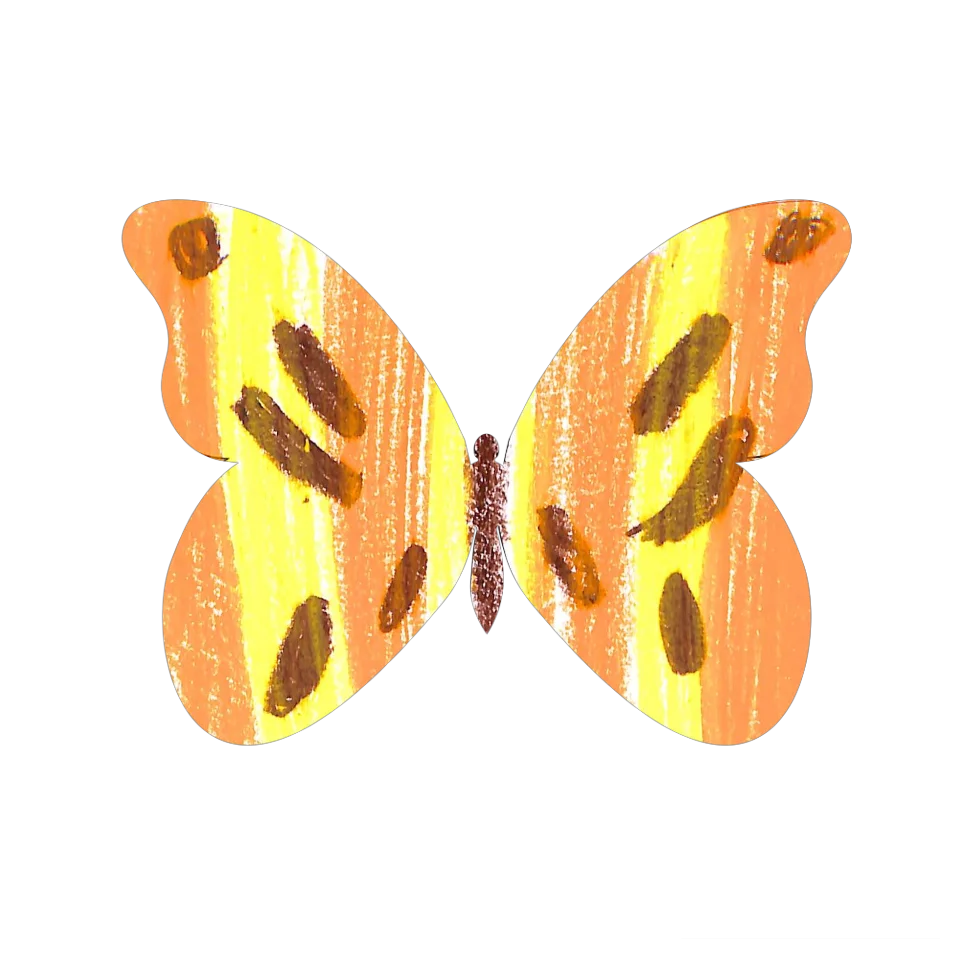 Original Butterfly Image