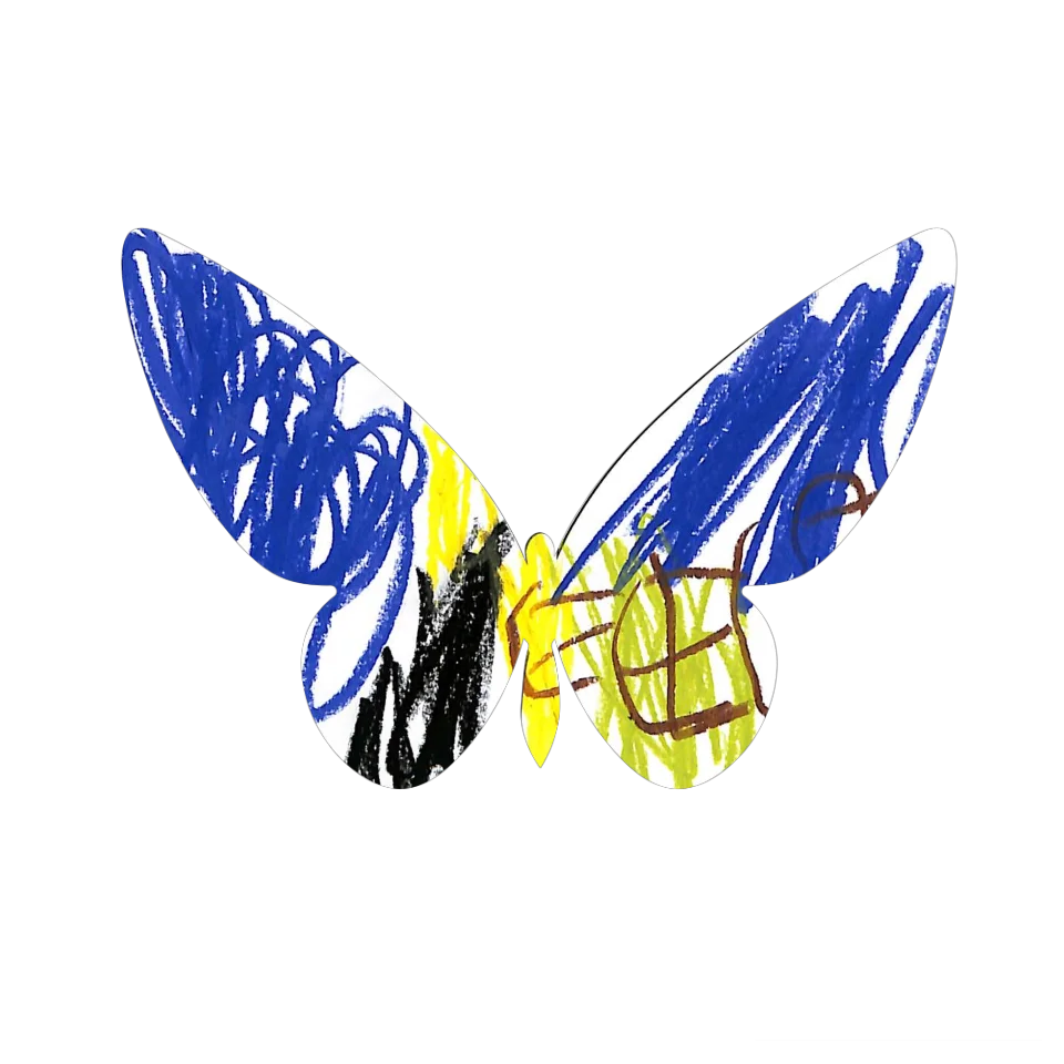 Original Butterfly Image