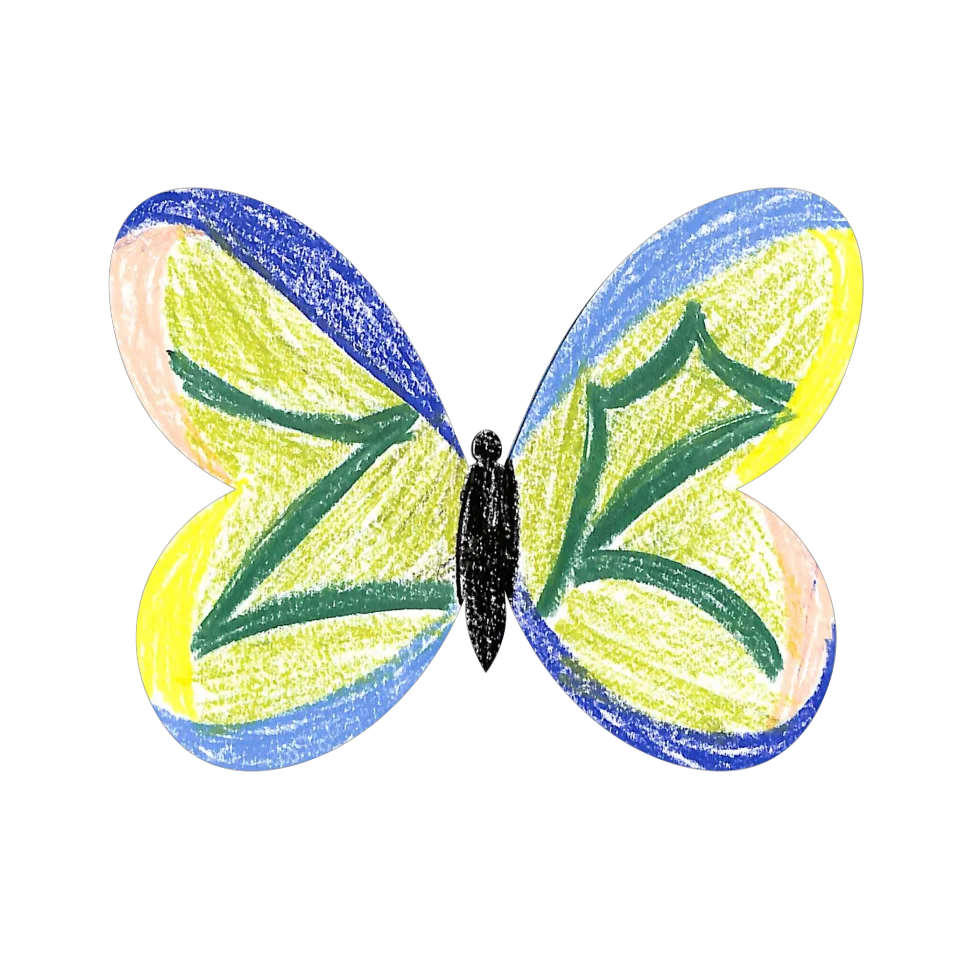 Original Butterfly Image