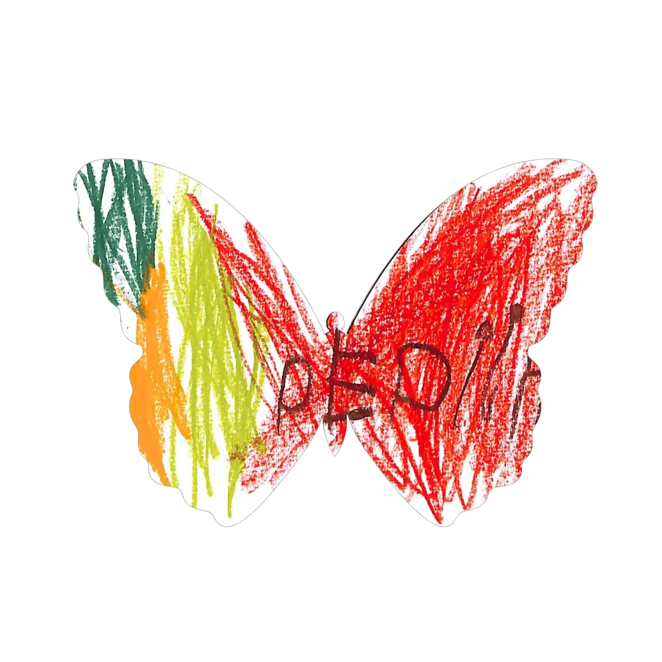 Original Butterfly Image