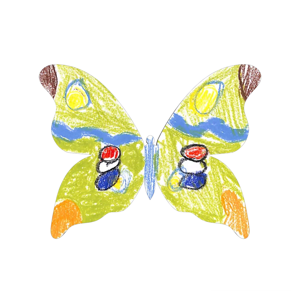 Original Butterfly Image