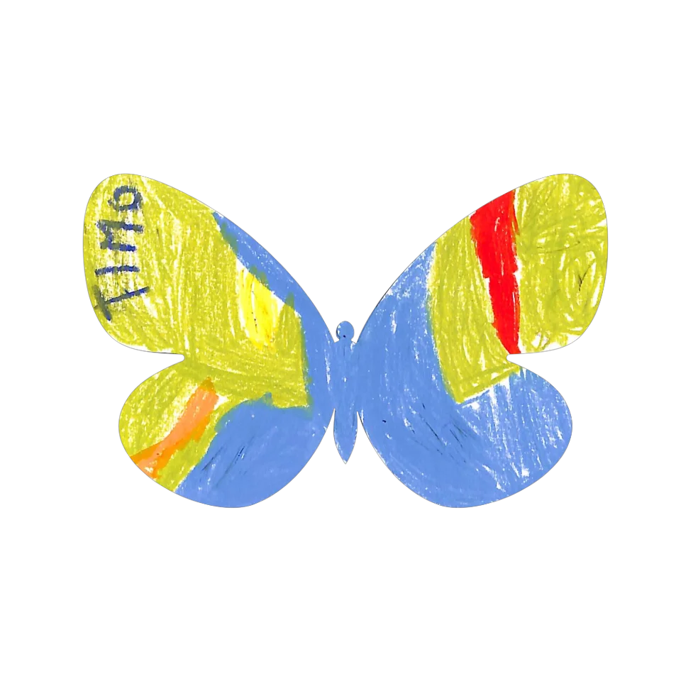 Original Butterfly Image