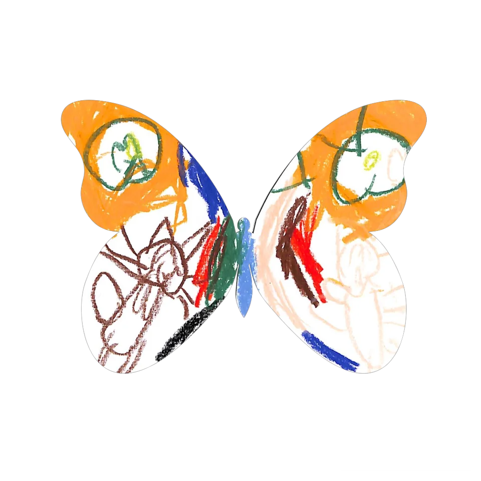Original Butterfly Image