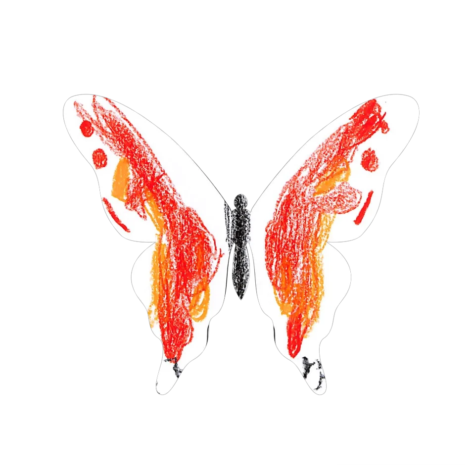 Original Butterfly Image
