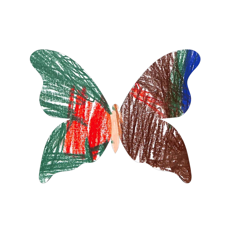 Original Butterfly Image