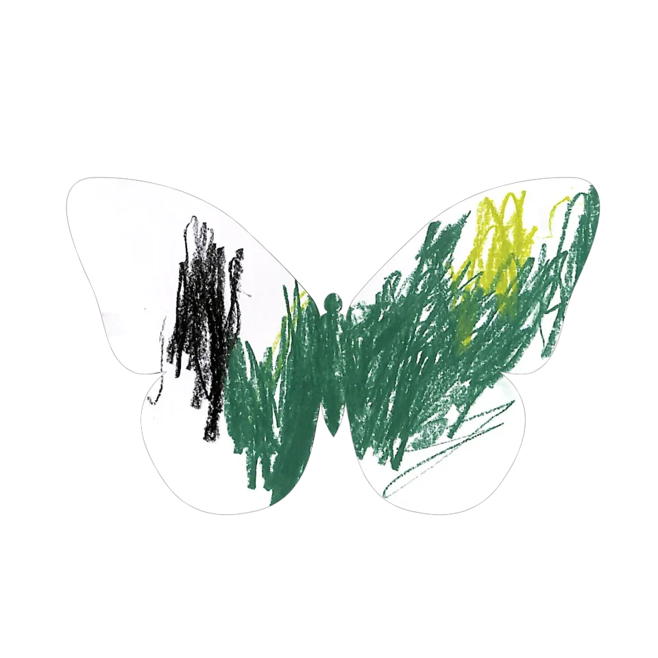 Original Butterfly Image