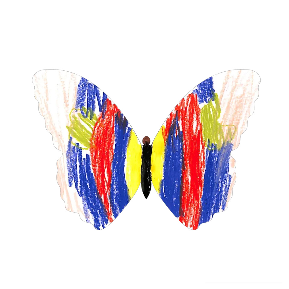 Original Butterfly Image