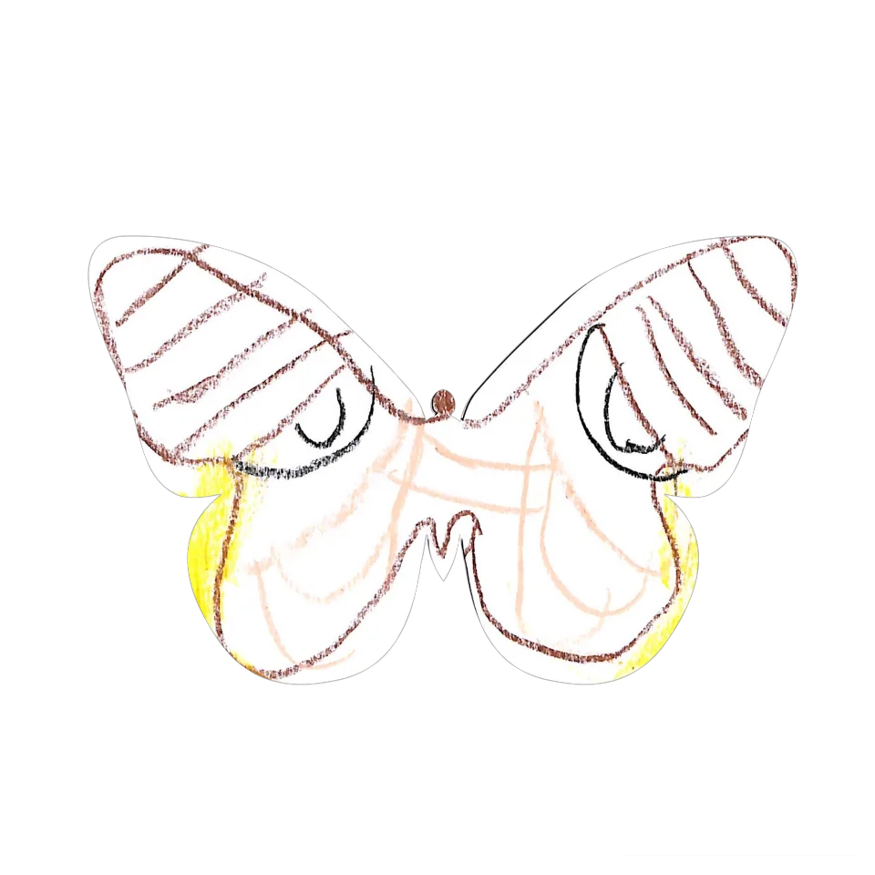 Original Butterfly Image