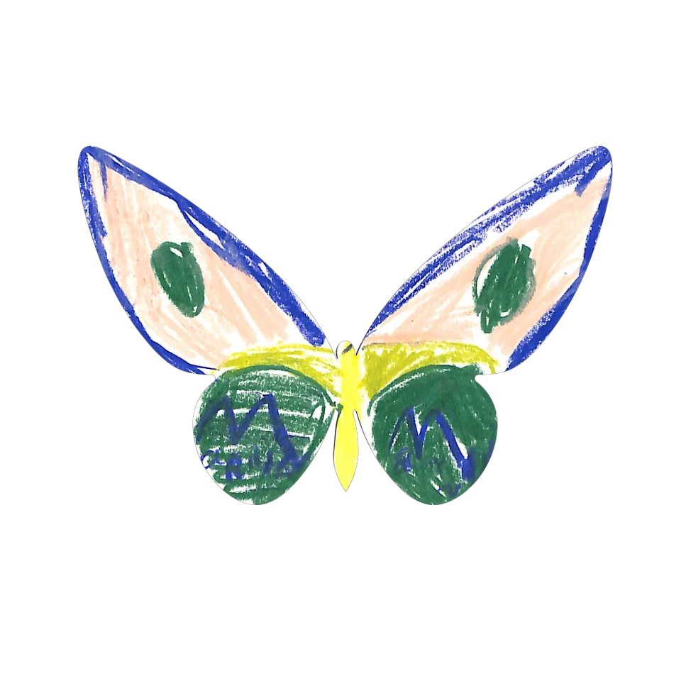 Original Butterfly Image