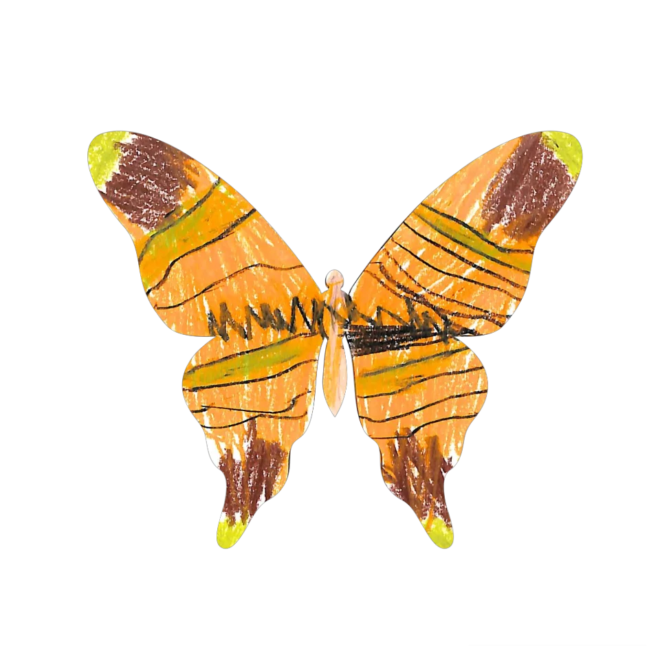 Original Butterfly Image