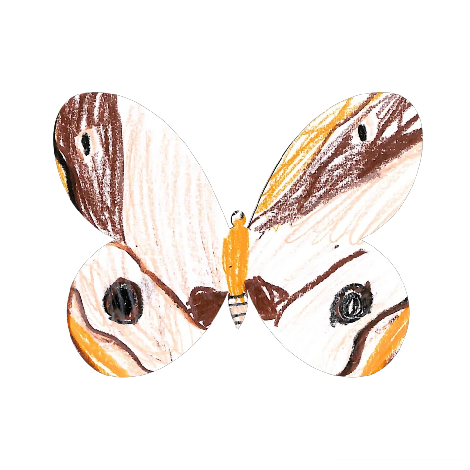 Original Butterfly Image