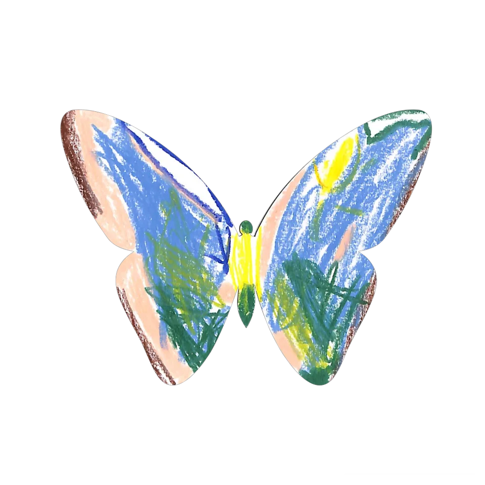 Original Butterfly Image