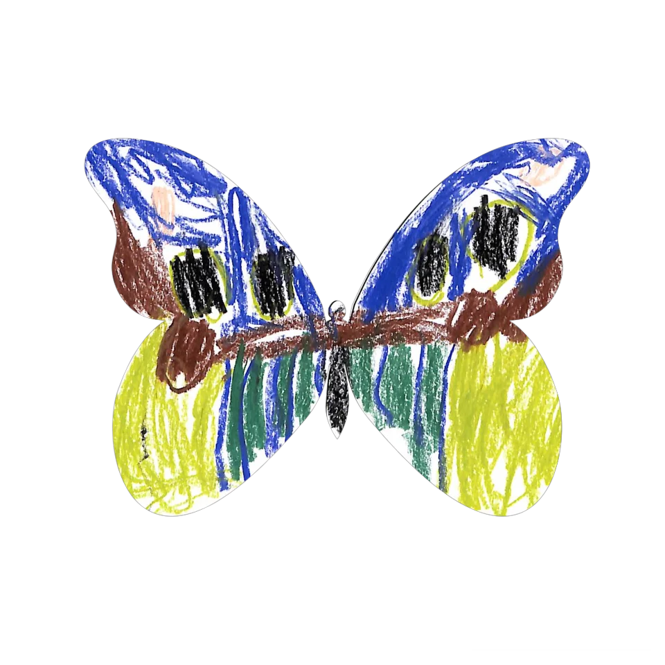 Original Butterfly Image
