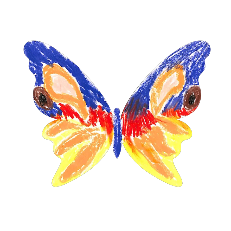 Original Butterfly Image