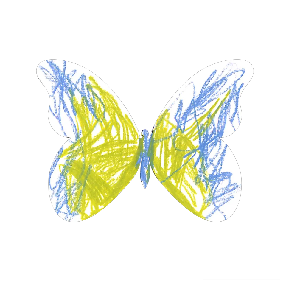 Original Butterfly Image