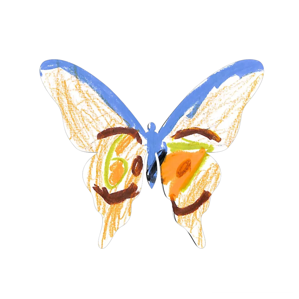Original Butterfly Image