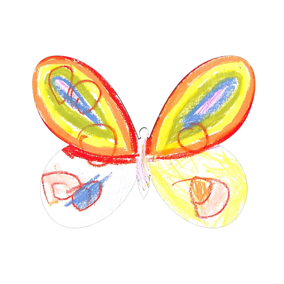 Original Butterfly Image