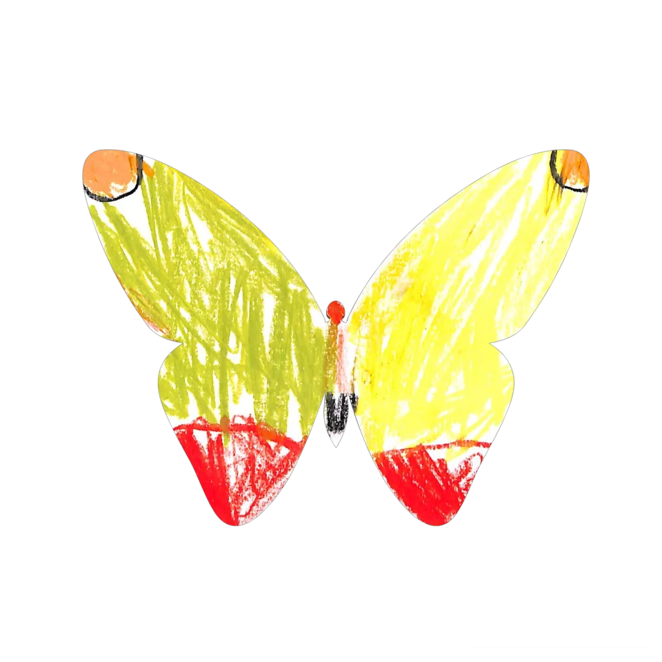 Original Butterfly Image