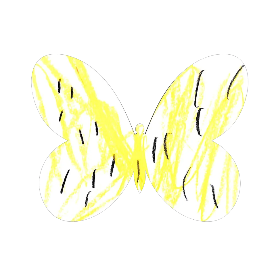 Original Butterfly Image