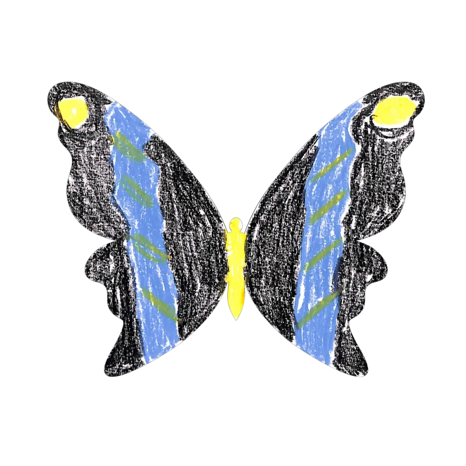 Original Butterfly Image