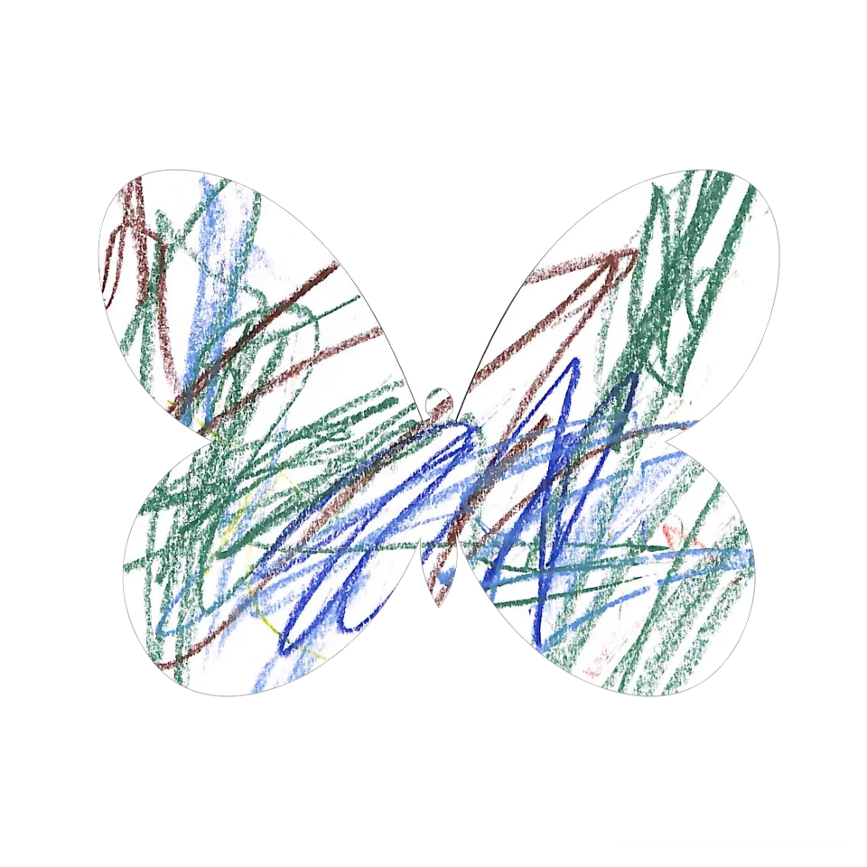 Original Butterfly Image