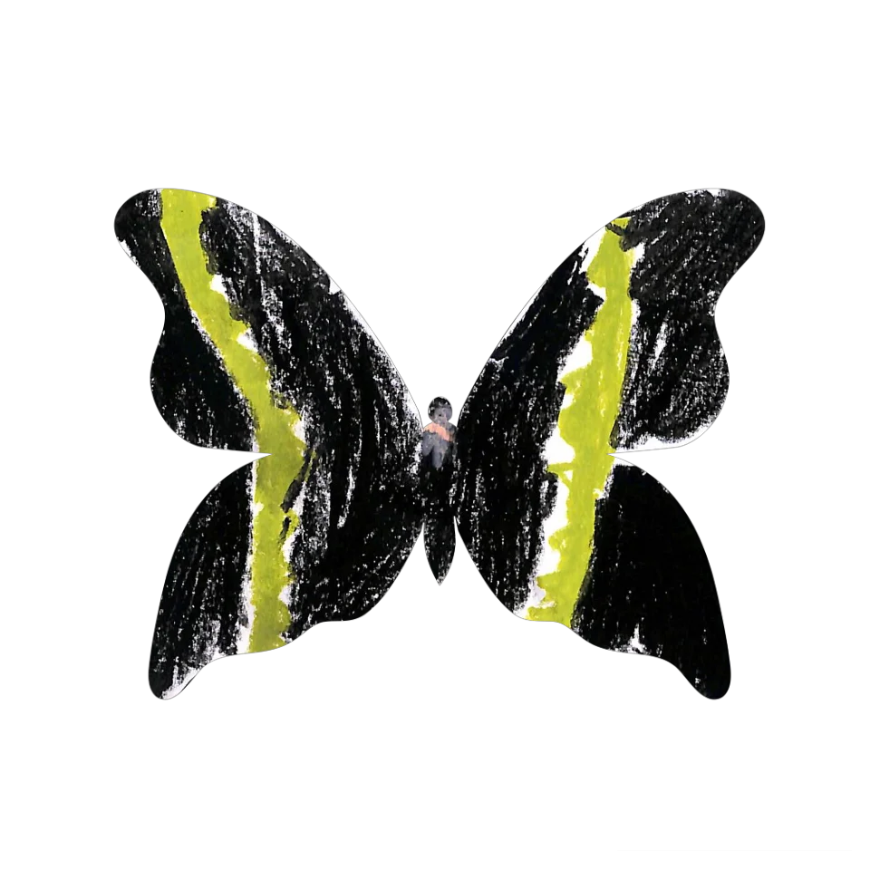 Original Butterfly Image