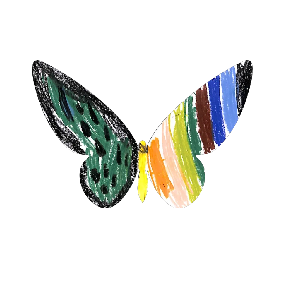 Original Butterfly Image