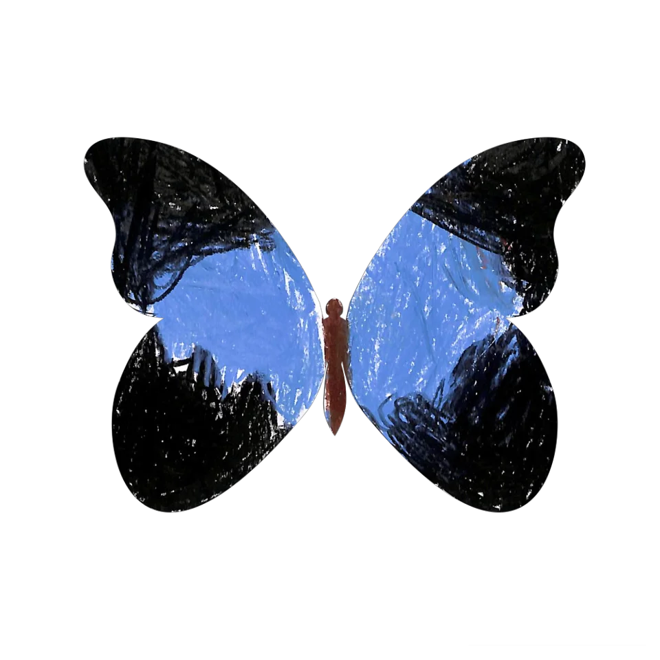 Original Butterfly Image