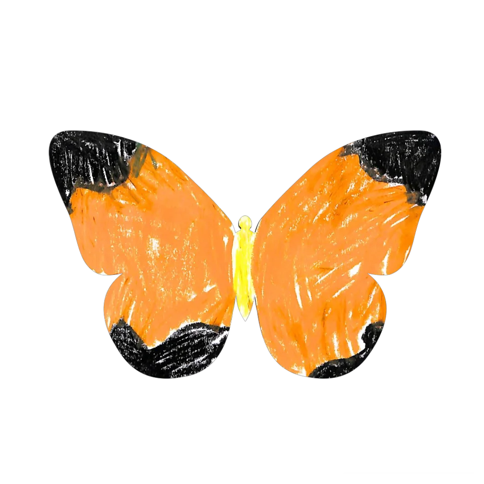 Original Butterfly Image