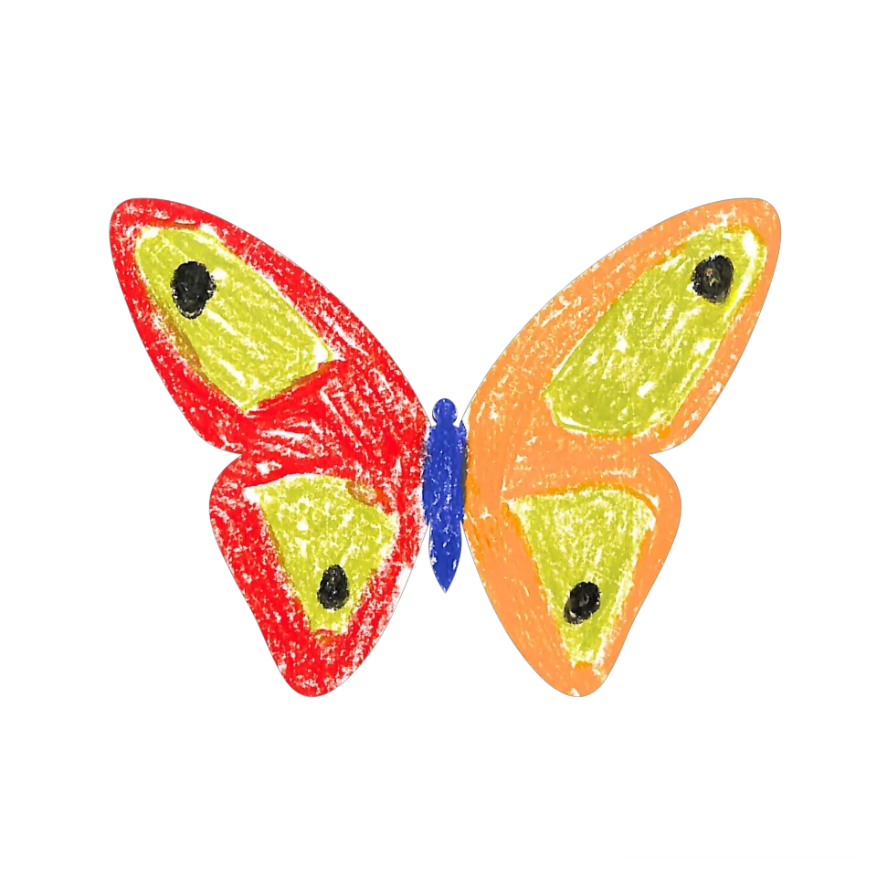 Original Butterfly Image